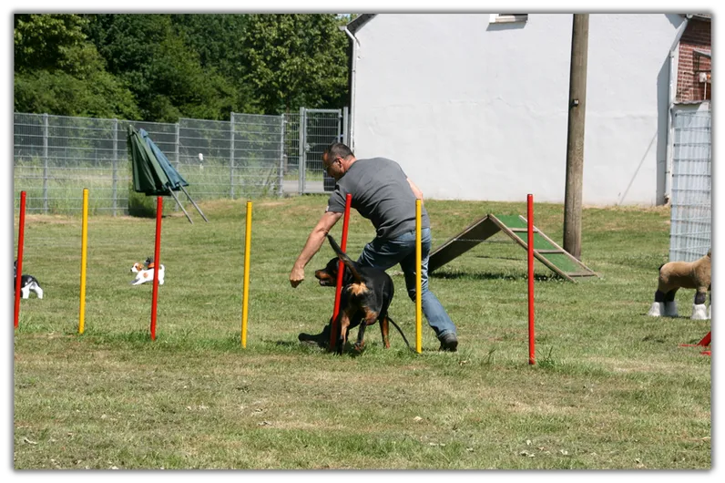 Hundeschule Spaß 5